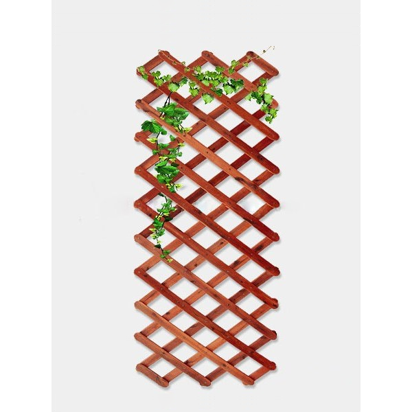 1637554709_gian-leo-go-xep-gon-tram-bong-vang-do-2-600x600-1.png 1637554709 gian leo go xep gon tram bong vang do 2 600x600 1
