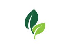 green-fact-leaf-icon-4