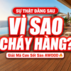 ChatGPT Image 15 46 23 15 thg 7 2026