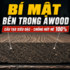 bia 14