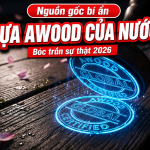Gỗ nhựa AWOOD của nước nào: Top 5 Sự thật chấn động 2026