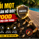 Sợ Mối Mọt Ăn Mòn Sàn Hồ Bơi? Sàn Gỗ Ngoài Trời AWOOD Thách Thức Mọi Loại Côn Trùng!