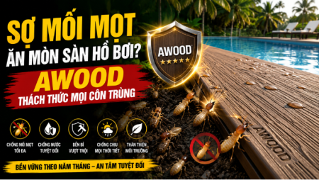 Sợ Mối Mọt Ăn Mòn Sàn Hồ Bơi? Sàn Gỗ Ngoài Trời AWOOD Thách Thức Mọi Loại Côn Trùng!