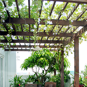 pergola