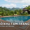 Toàn cảnh hồ bơi biệt thự hiện đại lát sàn gỗ nhựa composite ngoài trời.