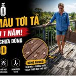 Sàn Gỗ Phai Màu Tơi Tả Chỉ Sau 1 Năm? Lỗi Do Bạn Chưa Dùng AWOOD!